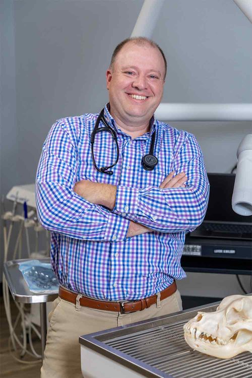 HighQuality Vet Hospital in Fort Collins, CO Harmony Road Veterinary